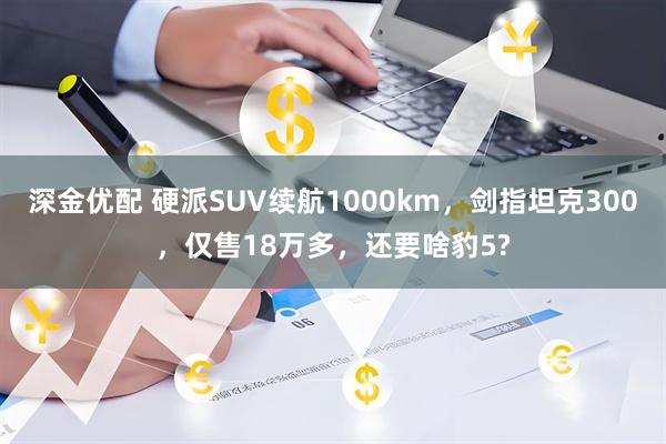 深金优配 硬派SUV续航1000km，剑指坦克300，仅售18万多，还要啥豹5?