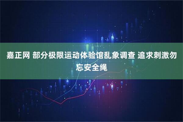 嘉正网 部分极限运动体验馆乱象调查 追求刺激勿忘安全绳